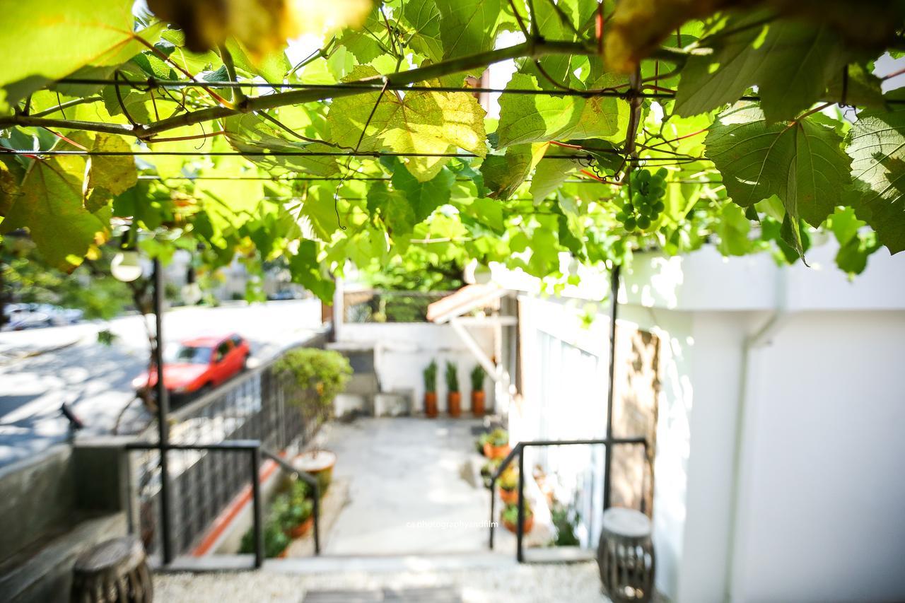 Hostel Grape Wine São Paulo Exteriér fotografie