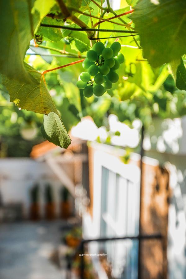 Hostel Grape Wine São Paulo Exteriér fotografie